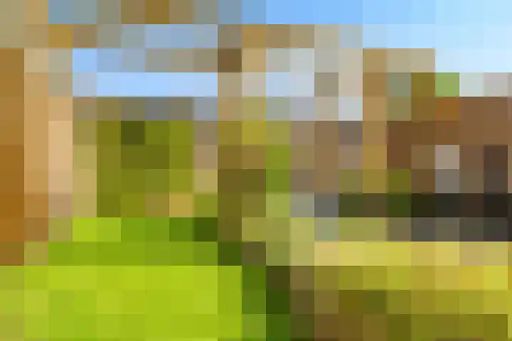 Boccacciopad 10 Utrecht thumbnail 39