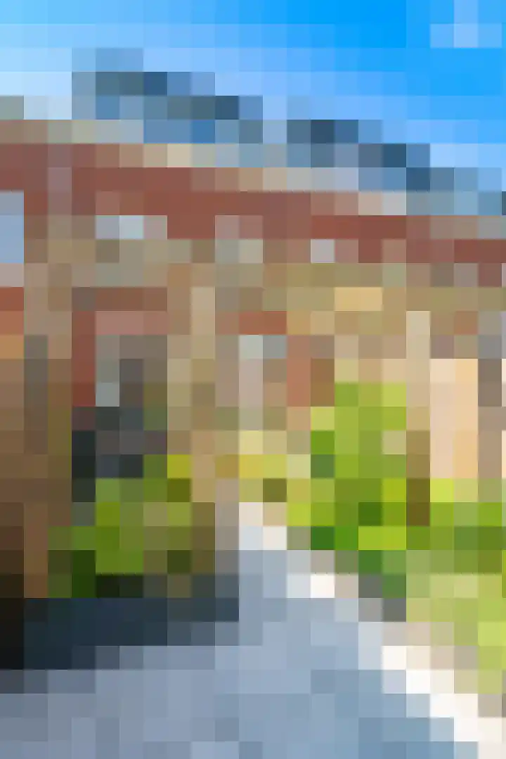 Boccacciopad 10 Utrecht thumbnail 42