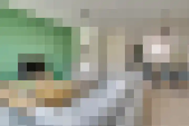 Boccacciopad 10 Utrecht thumbnail 9