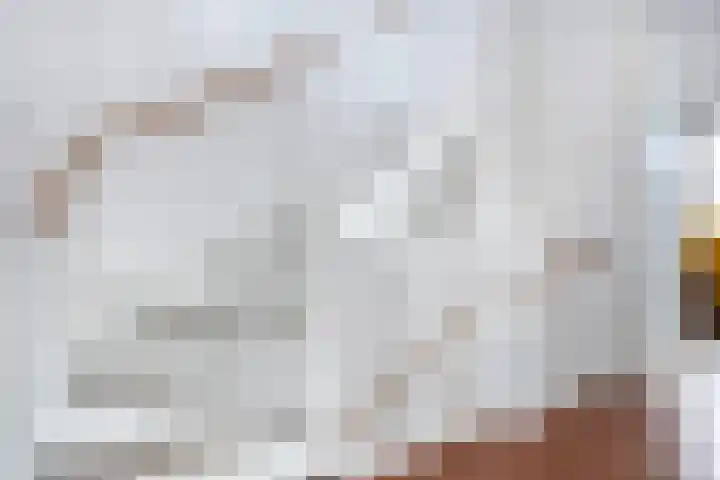 Boccacciopad 3 Utrecht thumbnail 30