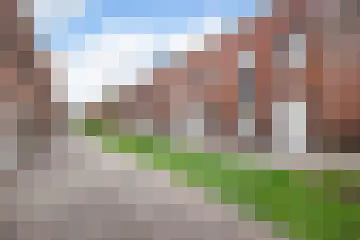 Boccacciopad 3 Utrecht thumbnail 43