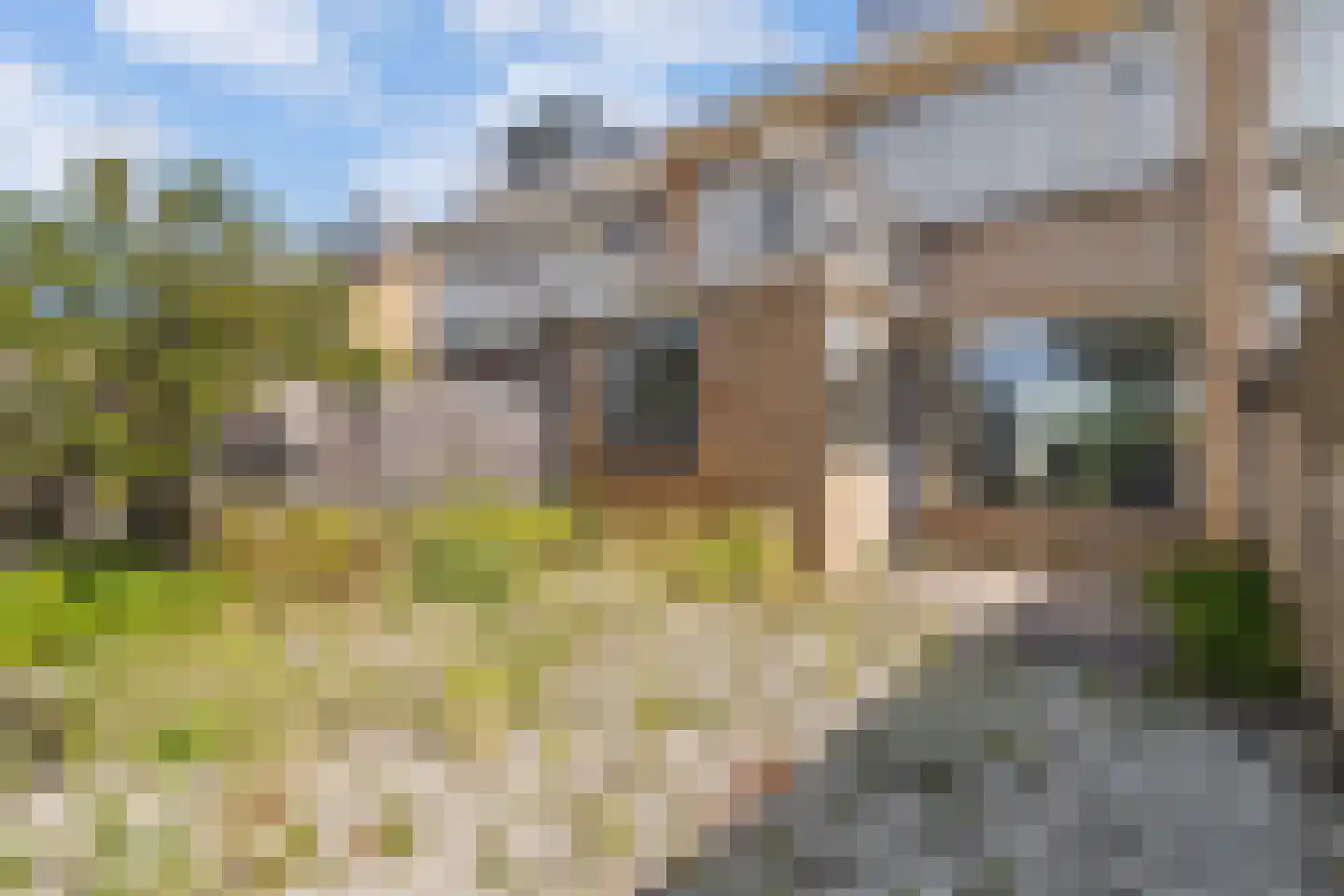 Boccherinistraat 18 Castricum thumbnail 28