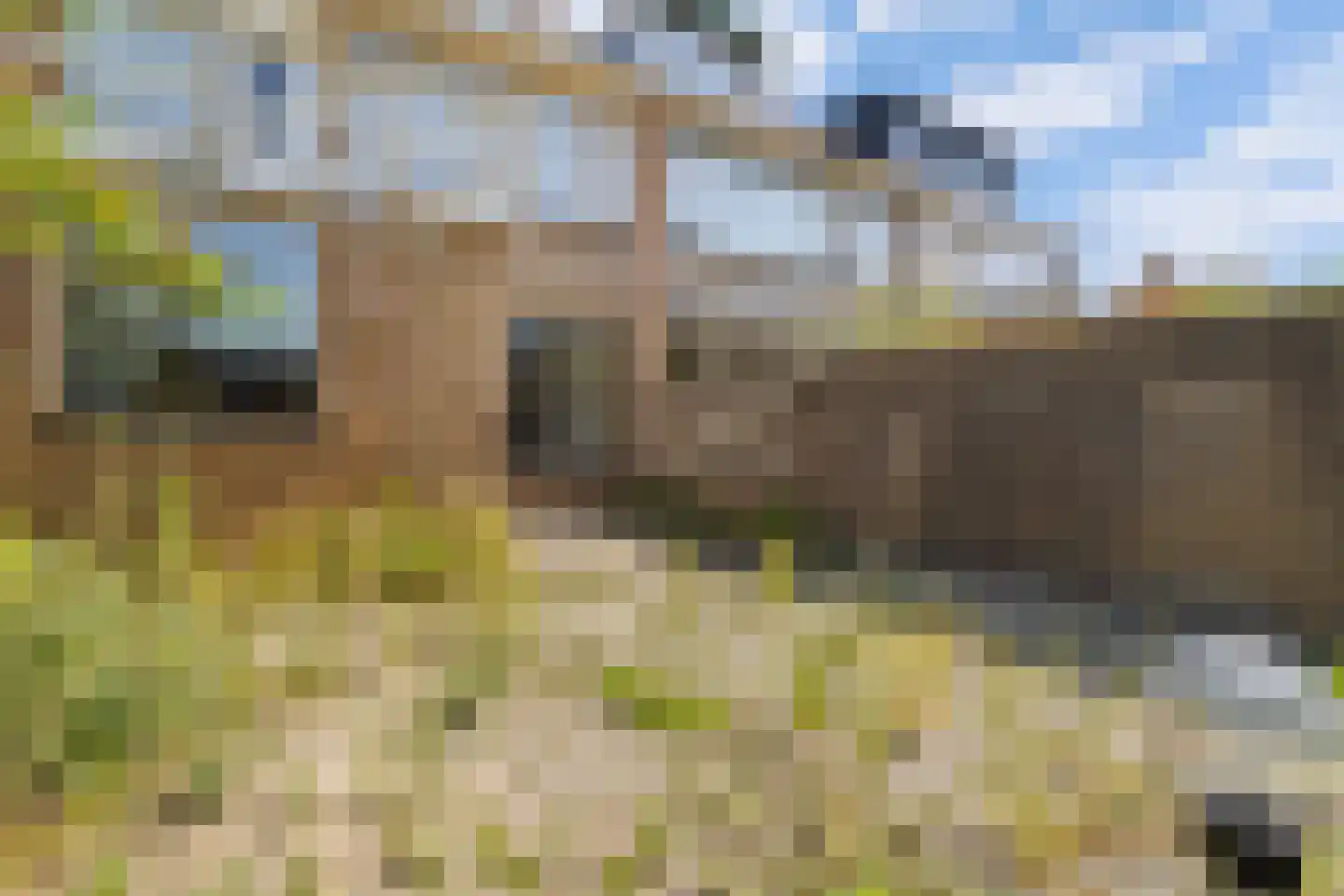 Boccherinistraat 18 Castricum thumbnail 29