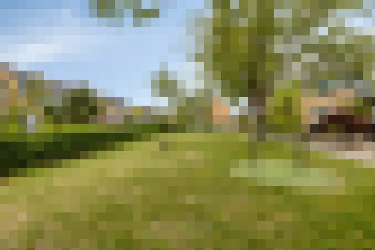 Boccherinistraat 59 Castricum thumbnail 50