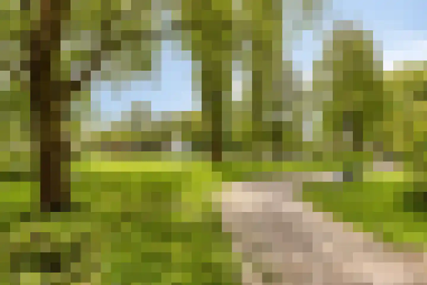 Boccherinistraat 59 Castricum thumbnail 52