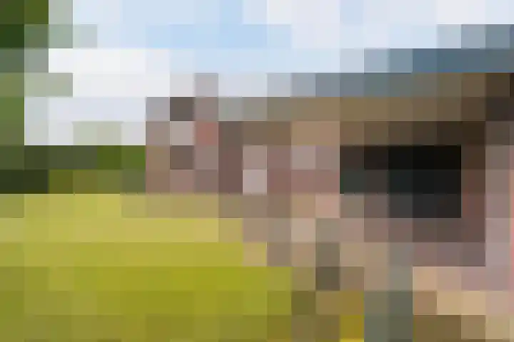 Bocholterweg 19 Weert thumbnail 38