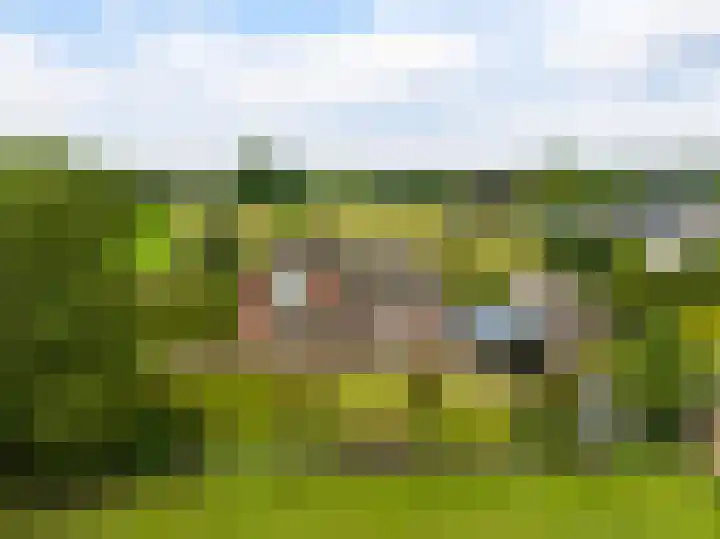 Bocholterweg 19 Weert thumbnail 44