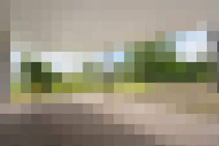 Bocholterweg 19 Weert thumbnail 5