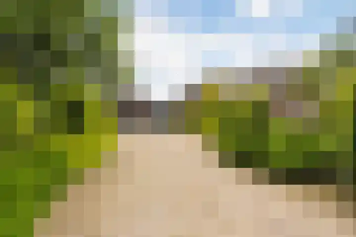 Bocholterweg 19 Weert thumbnail 8