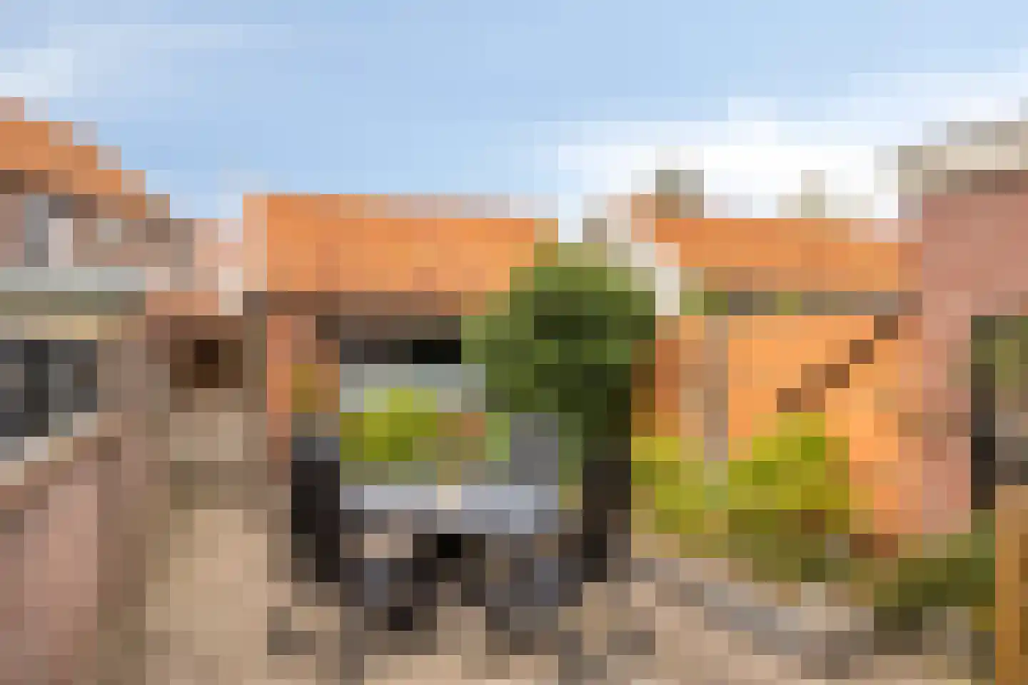 Bocholtsestraat 32 Winterswijk thumbnail 26