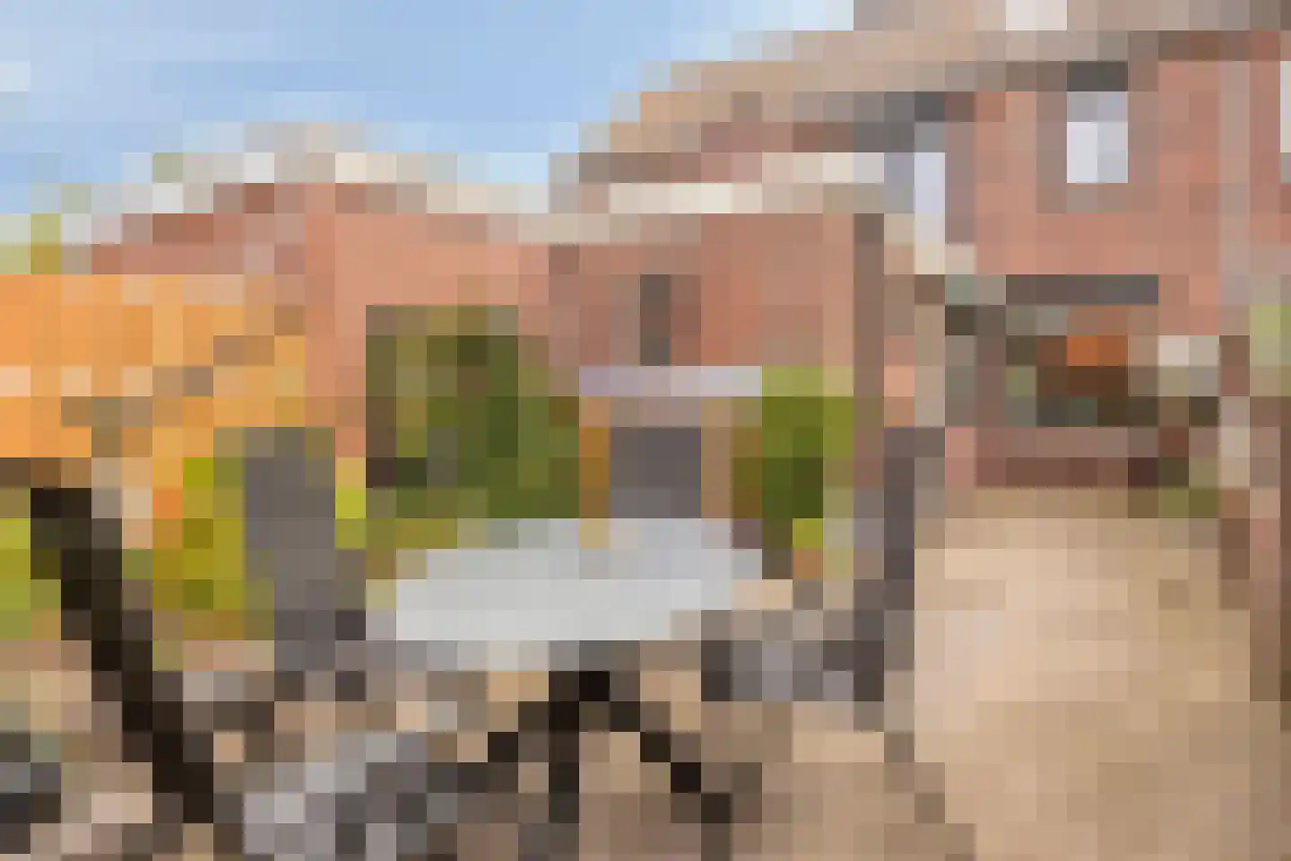 Bocholtsestraat 32 Winterswijk thumbnail 27