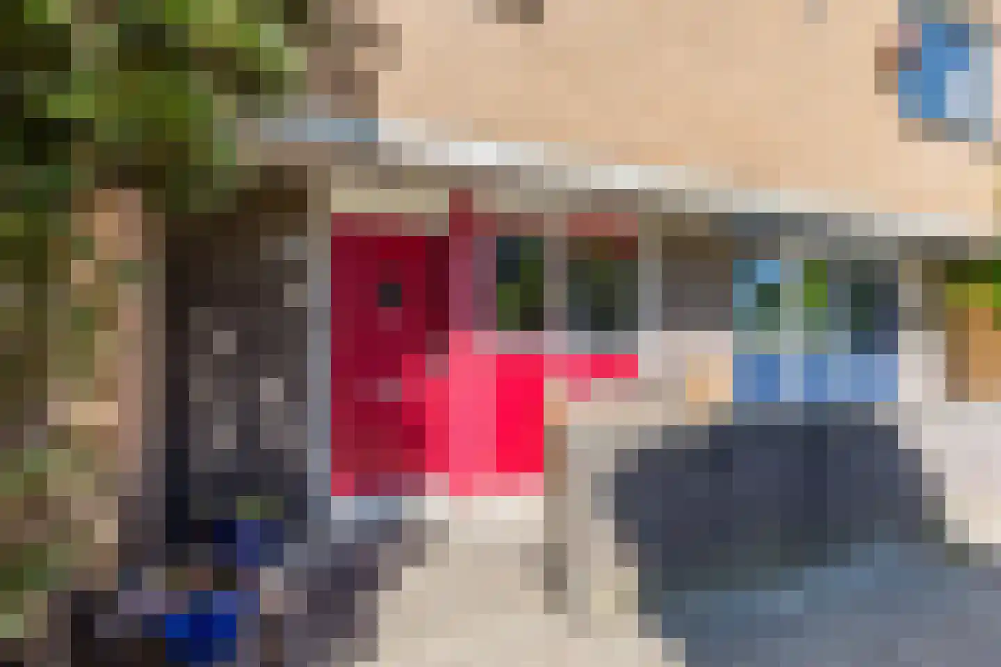 Bocholtstraat 8 Amsterdam thumbnail 9