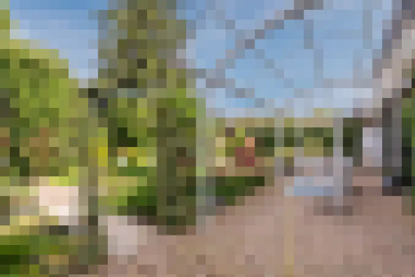 Bocholtzerweg 34 Simpelveld thumbnail 29