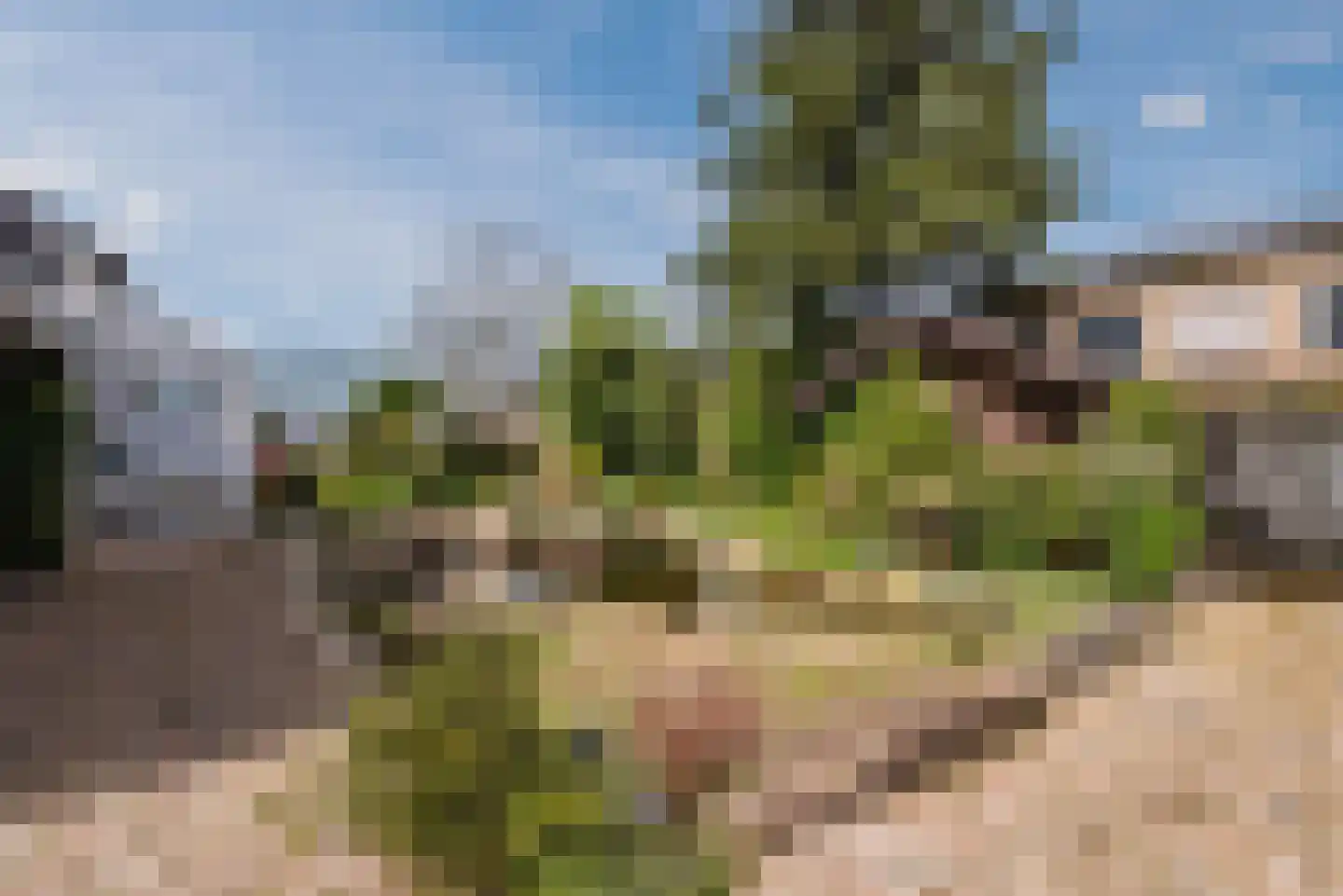 Bocholtzerweg 34 Simpelveld thumbnail 30