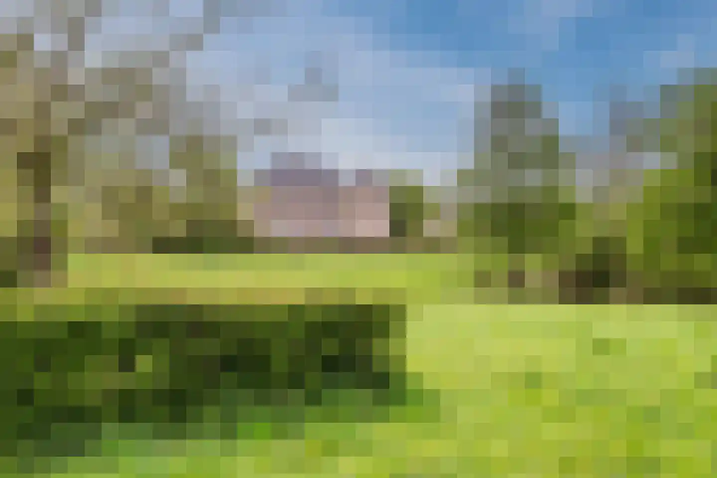 Bocholtzerweg 34 Simpelveld thumbnail 35