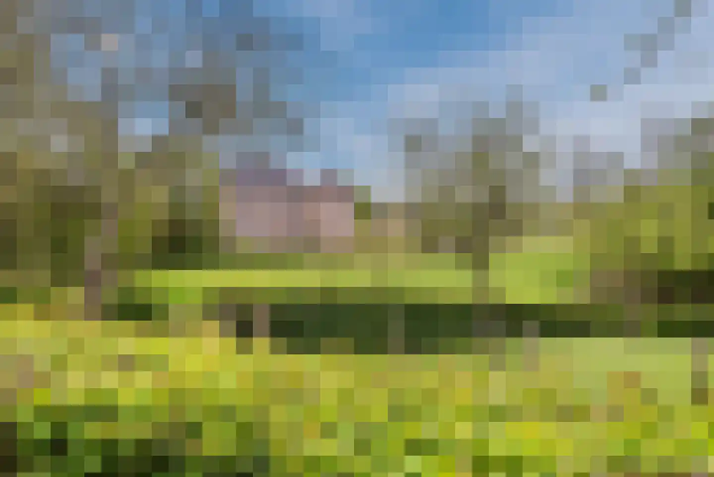 Bocholtzerweg 34 Simpelveld thumbnail 36