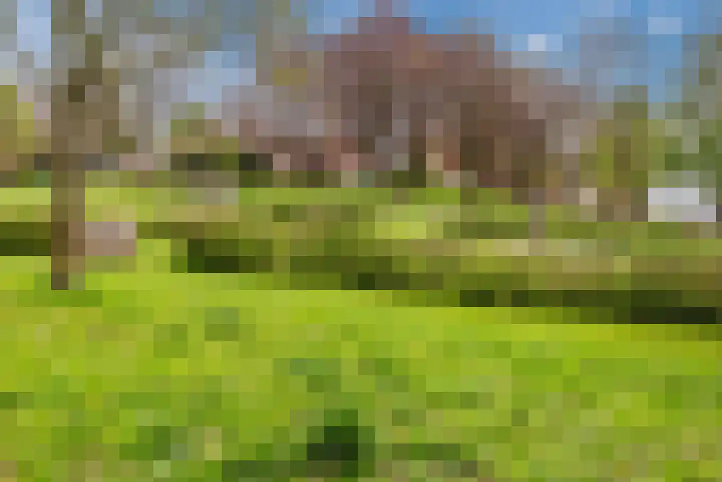 Bocholtzerweg 34 Simpelveld thumbnail 37