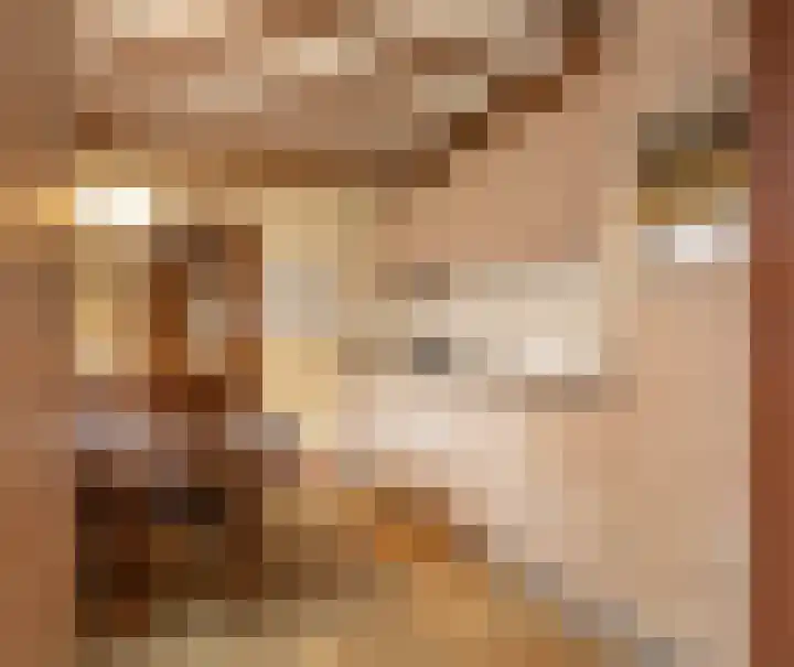 Bocht 10 Milheeze thumbnail 11