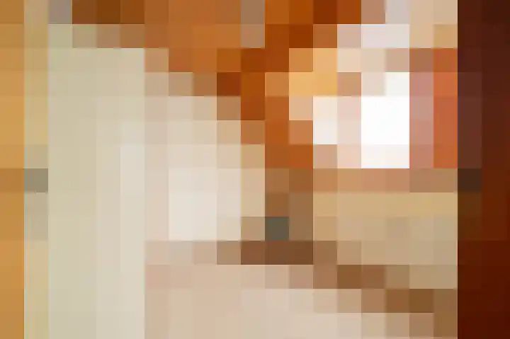 Bocht 10 Milheeze thumbnail 24