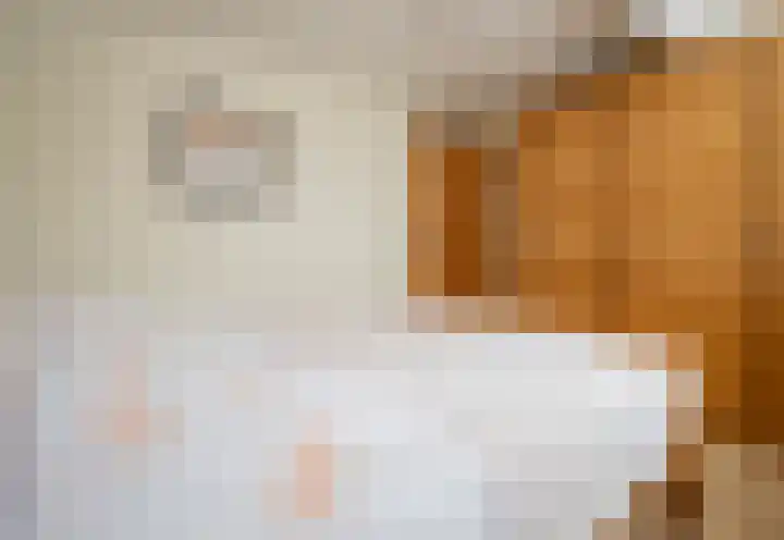 Bocht 10 Milheeze thumbnail 28
