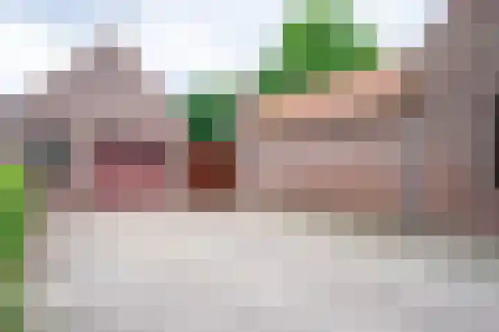 Bocht 10 Milheeze foto 3