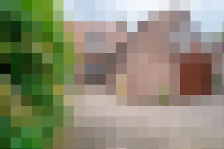 Bocht 10 Milheeze thumbnail 5