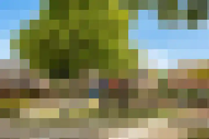 Bocht 4 Breda thumbnail 42