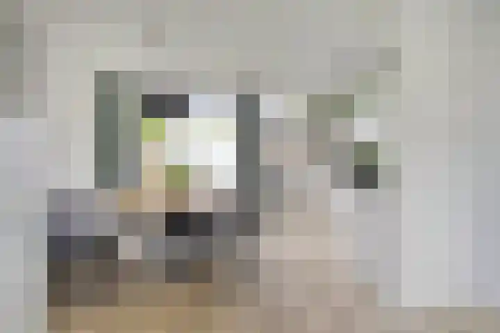 Bocht 40 Breda thumbnail 10