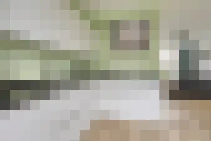 Bocht 40 Breda thumbnail 12