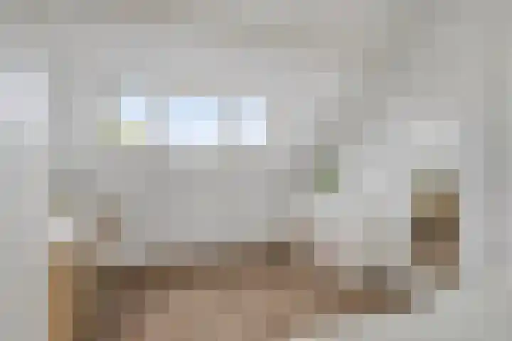 Bocht 40 Breda thumbnail 23