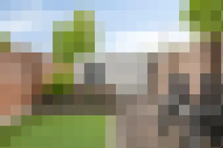 Bocht 40 Breda thumbnail 25