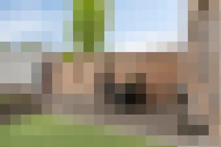 Bocht 40 Breda thumbnail 26