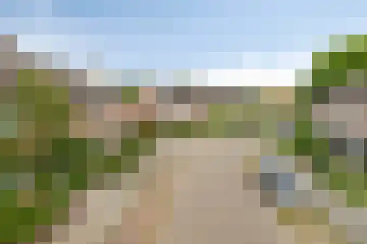 Bocht 40 Breda thumbnail 29