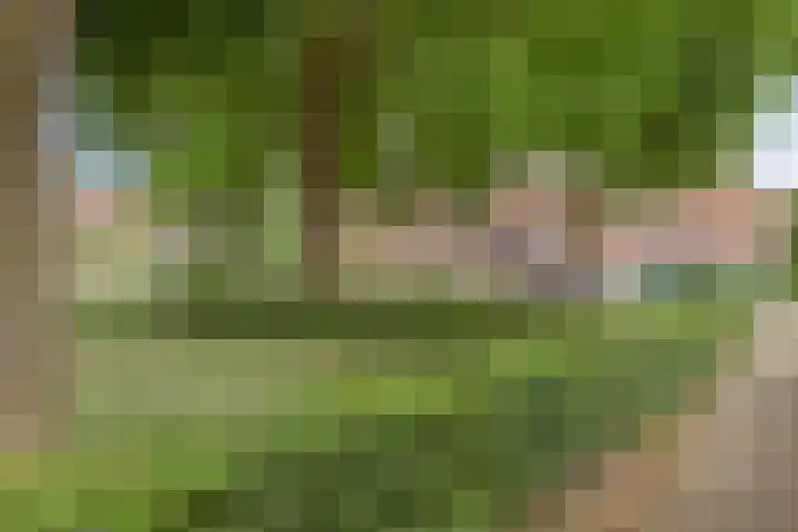Bocht 40 Breda thumbnail 31