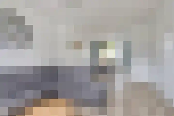 Bocht 40 Breda thumbnail 7