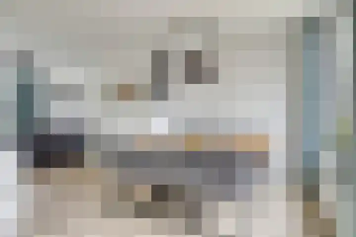 Bocht 40 Breda thumbnail 9