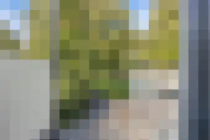 Bocht Oosterdiep 21 Veendam thumbnail 17