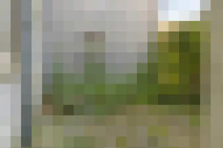 Bocht Oosterdiep 21 Veendam thumbnail 18