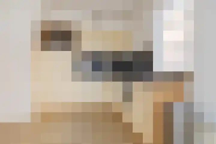 Bocht Oosterdiep 21 Veendam thumbnail 24