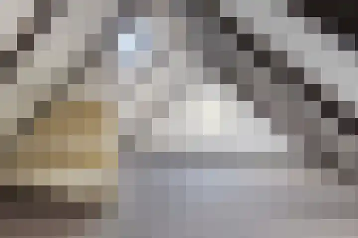 Bocht Oosterdiep 21 Veendam thumbnail 31