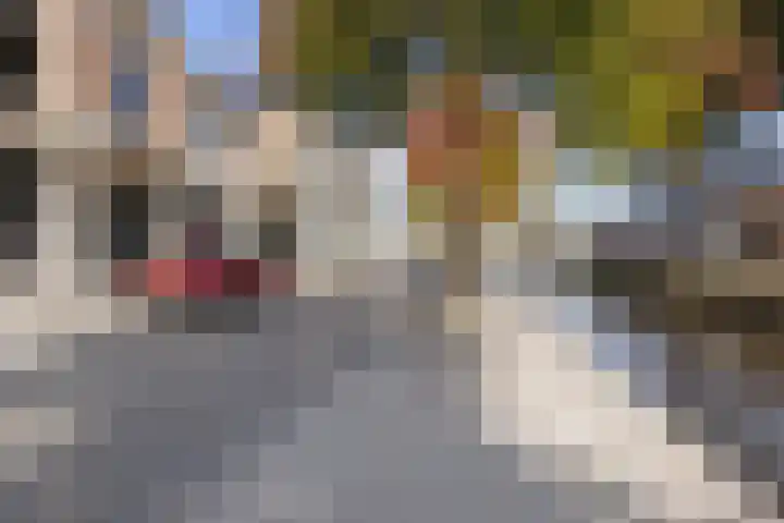 Bocht Oosterdiep 21 Veendam thumbnail 35