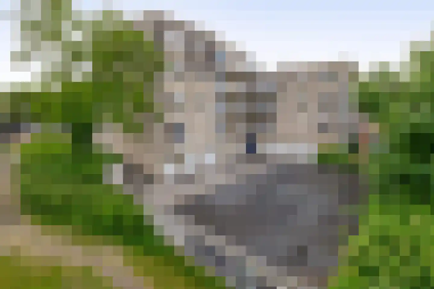 Bocht Oosterdiep 43 A Veendam thumbnail 31