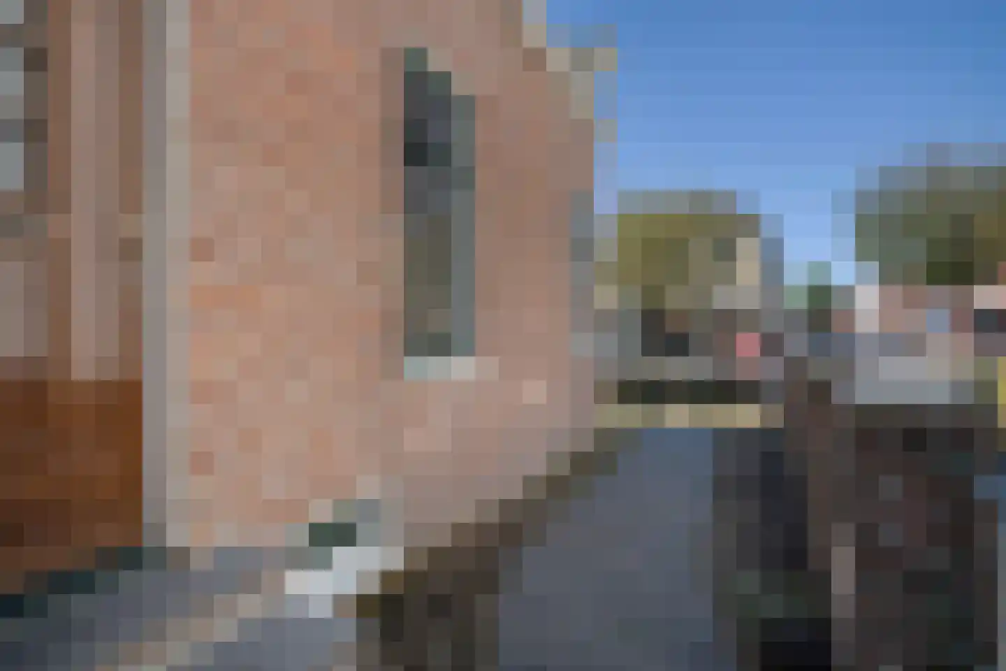 Bocht Oosterdiep 56 Veendam thumbnail 5