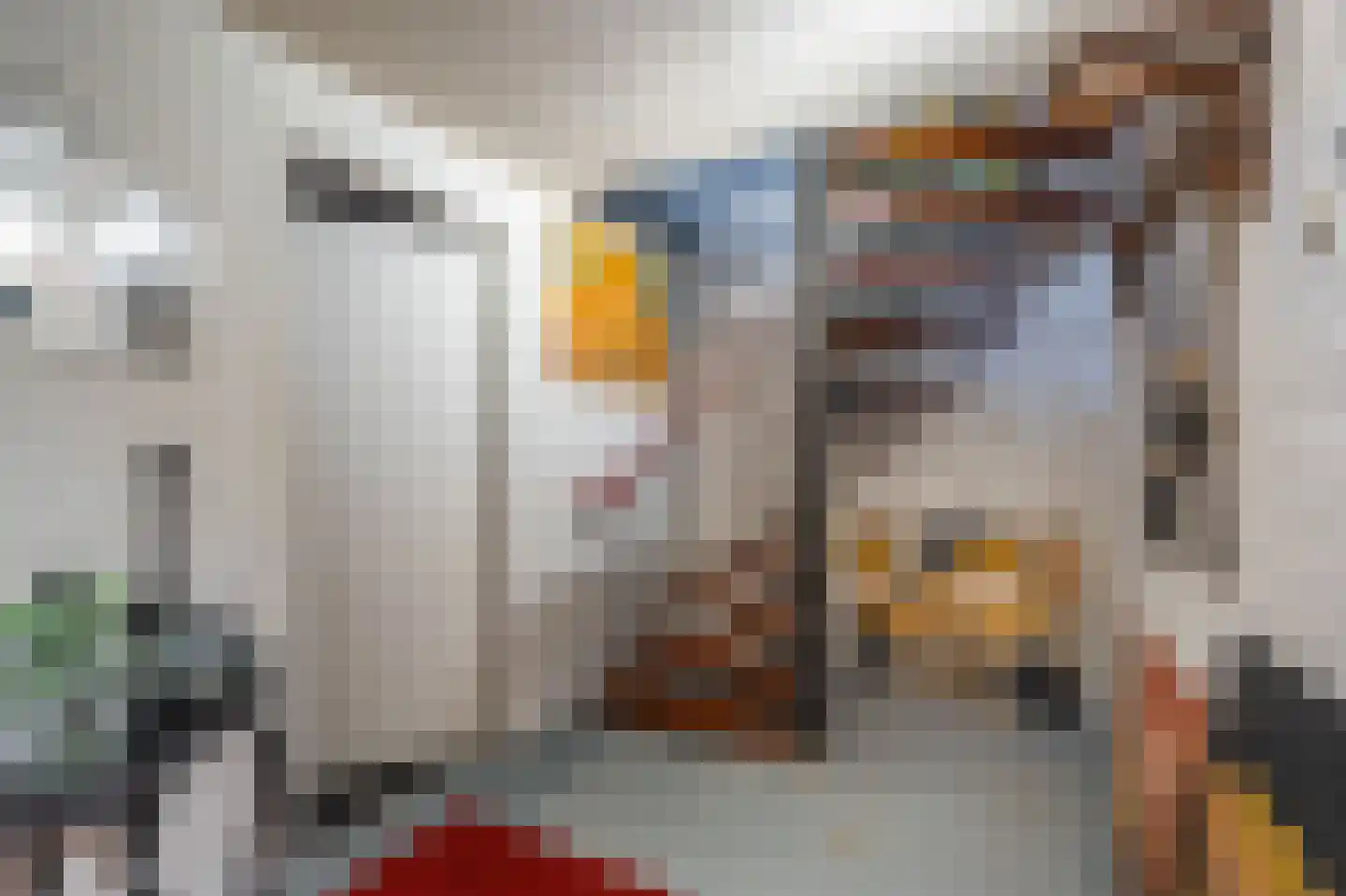 Bocht Oosterdiep 6 Veendam thumbnail 53