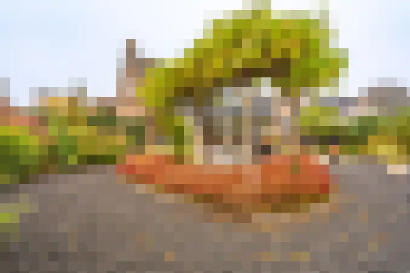 Bocht Oosterdiep 6 Veendam thumbnail 62