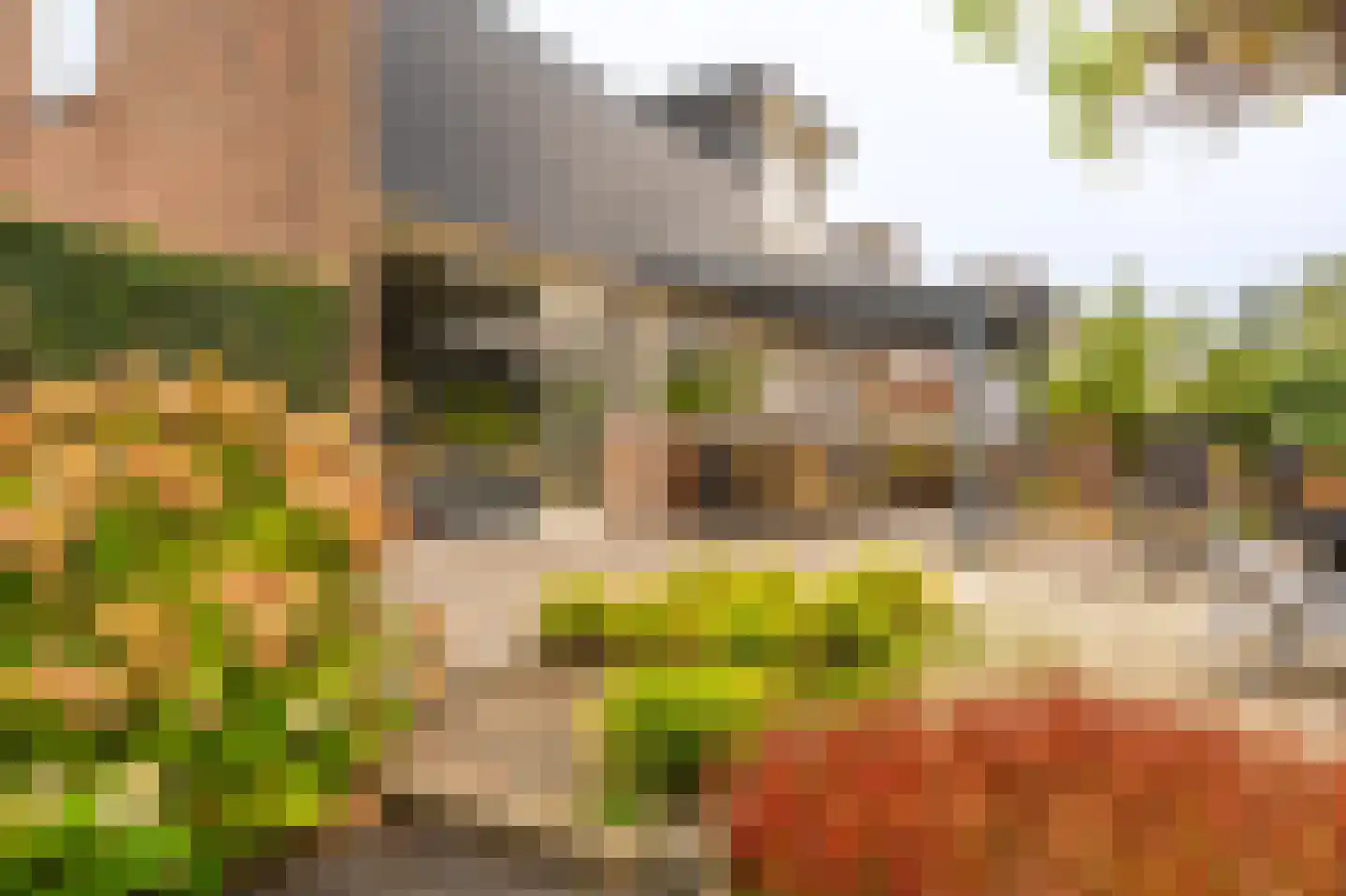 Bocht Oosterdiep 6 Veendam thumbnail 63