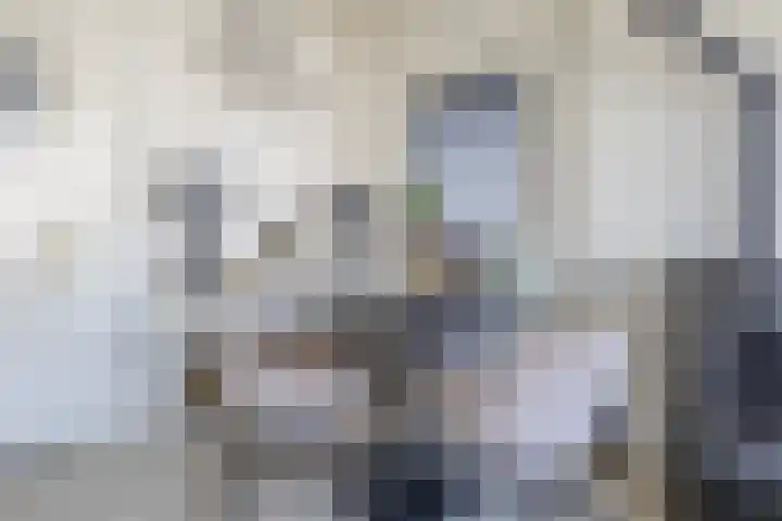 Bocht Oosterdiep 8 Veendam thumbnail 15
