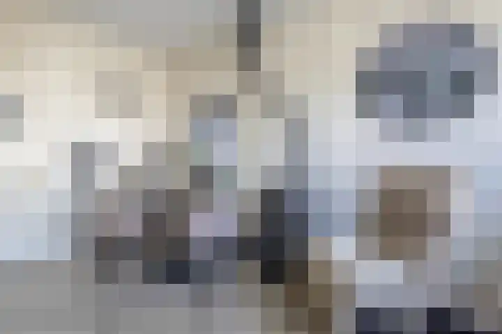 Bocht Oosterdiep 8 Veendam thumbnail 16