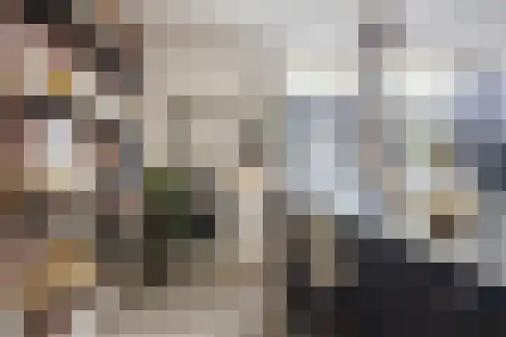Bocht Oosterdiep 8 Veendam thumbnail 20
