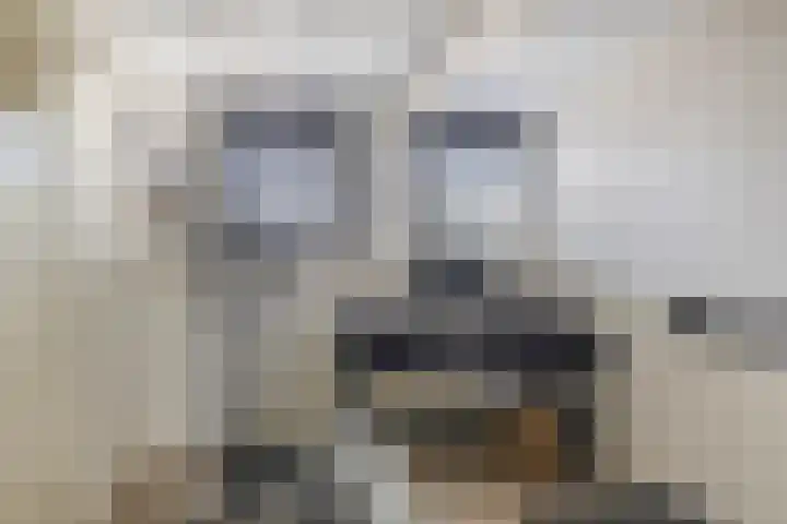Bocht Oosterdiep 8 Veendam thumbnail 33